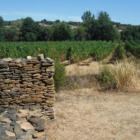 Du Chateau Malves-en-Minervois